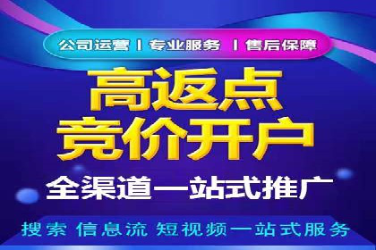 托管SEM竞价策略：行业领先企业的秘密武器