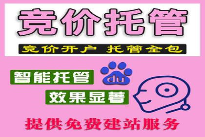 某某sem代运营推广公司成功案例：提升品牌曝光率